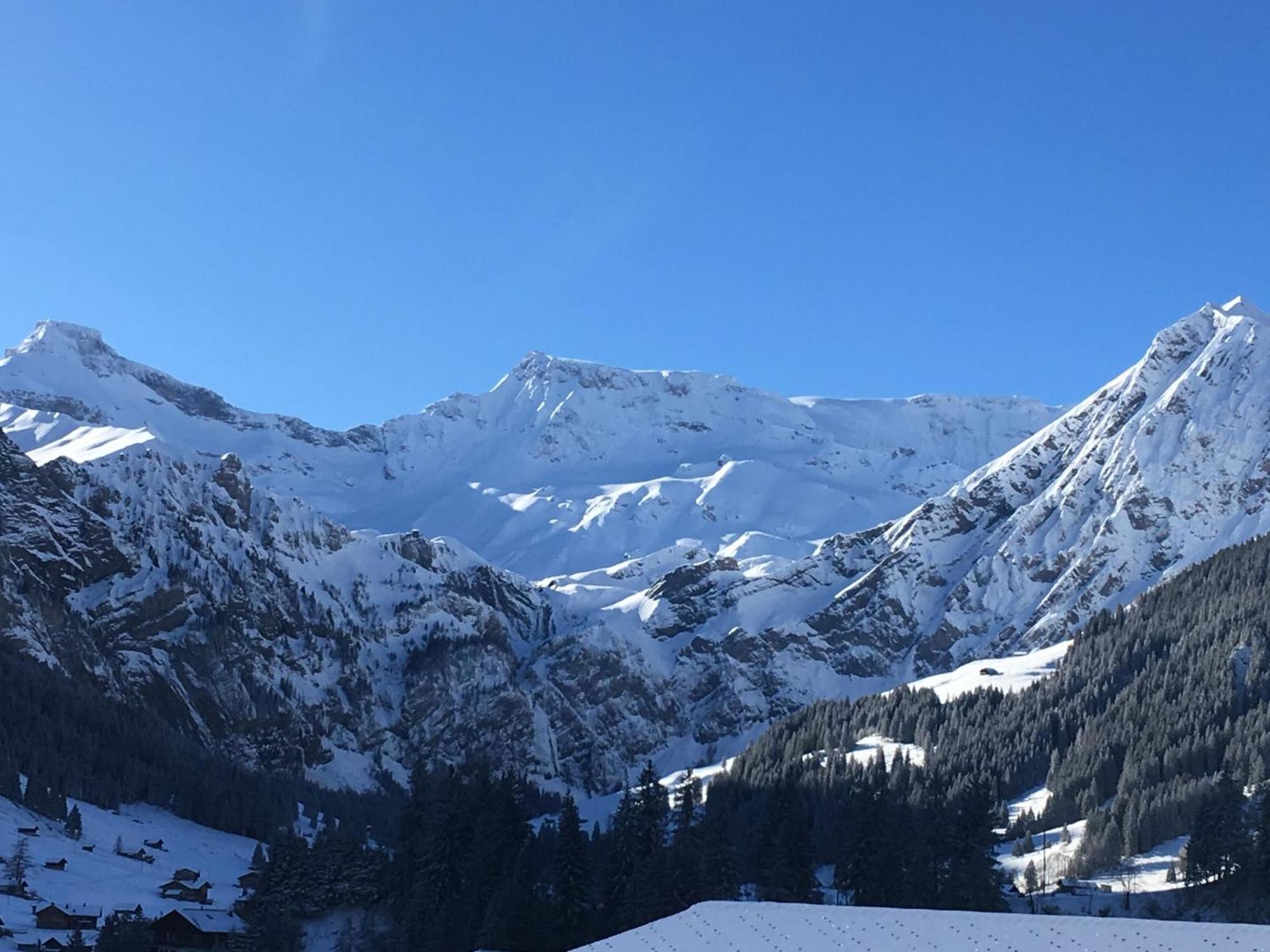 Hari By Interhome Apartment Adelboden